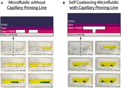 An economical self-coalescing microfluidic device with an easily observable readout